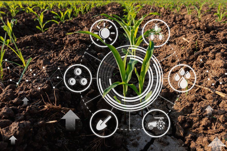 Plant Research