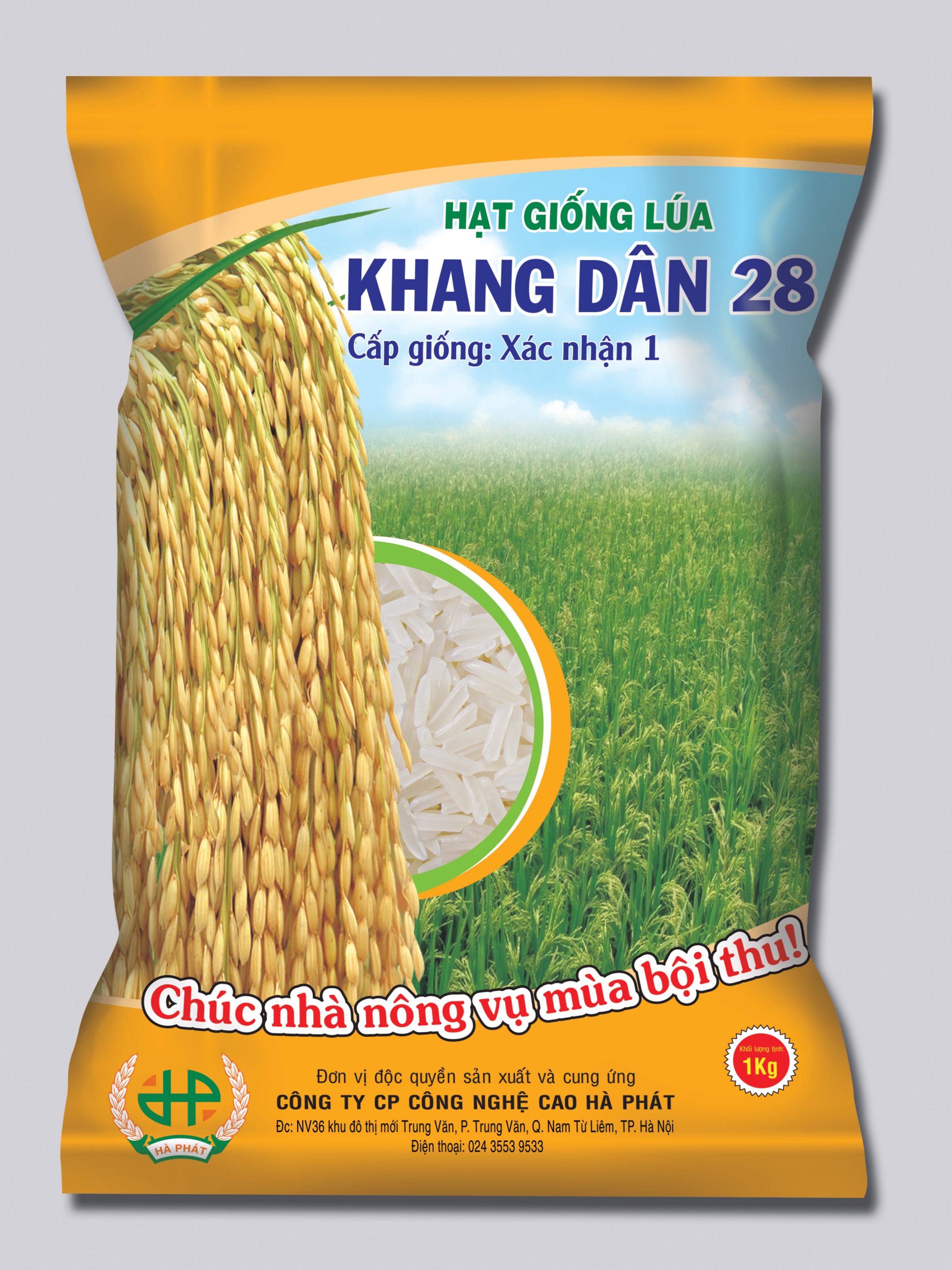Giống lúa thuần Khang Dân 28